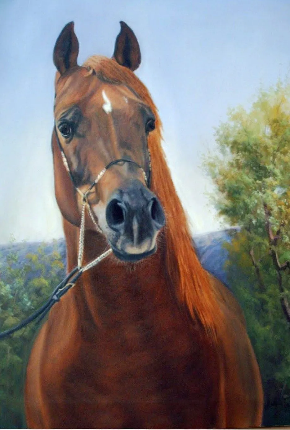 Pintura y Fotografía Artística : OLEOS DE CABALLOS