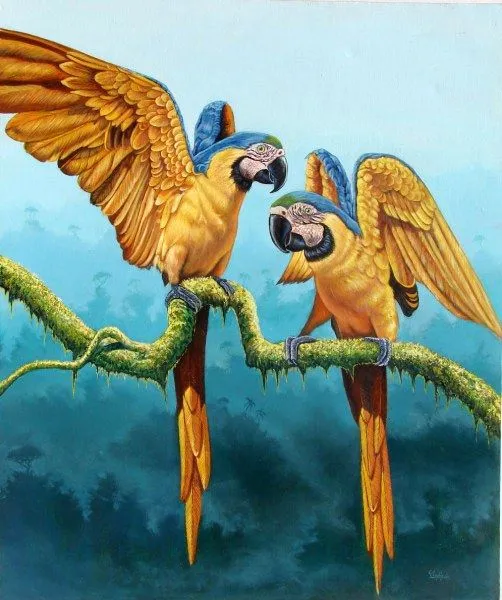 Pintura y Fotografía Artística : PAISAJES DEL AMAZONAS AL OLEO