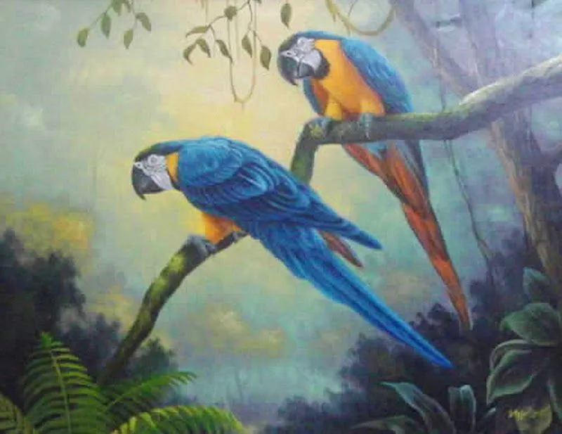 Pintura y Fotografía Artística : PÁJAROS PINTURA OLEO