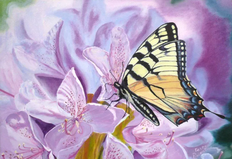 Pintura y Fotografía Artística : PINTURA DE MARIPOSAS