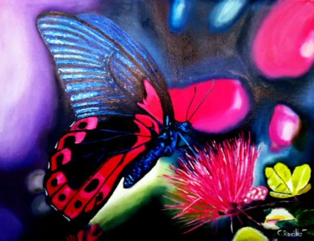 PINTURAS DE MARIPOSAS | Rocillo