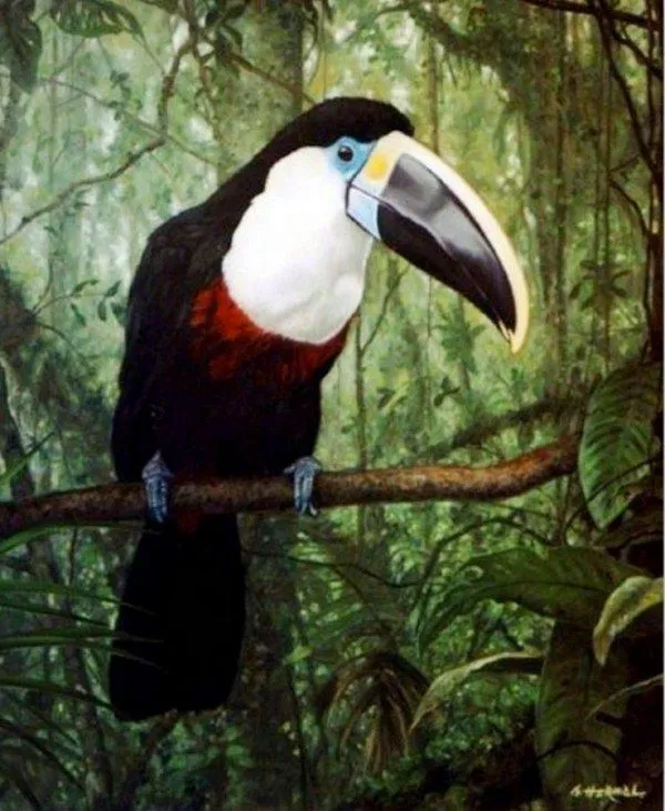 Pintura Moderna al Óleo: Aves exóticas pintadas en óleo sobre lienzo