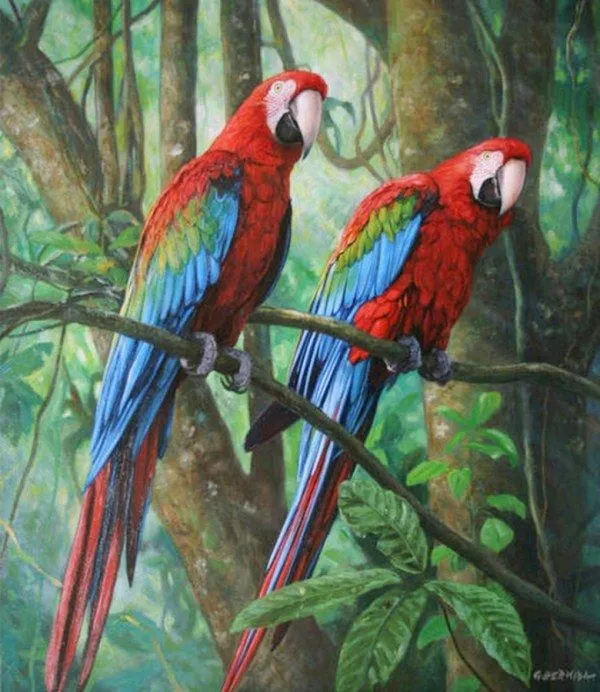 Pintura Moderna al Óleo: Aves exóticas pintadas en óleo sobre lienzo