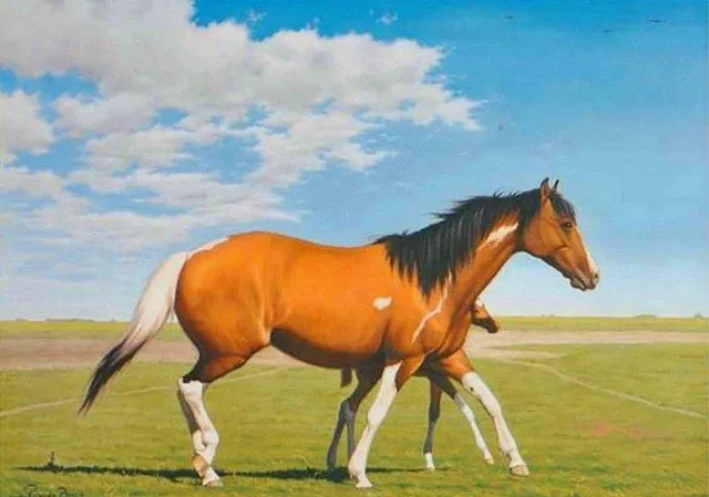 Pintura Moderna al Óleo: Cuadros caballos oleos