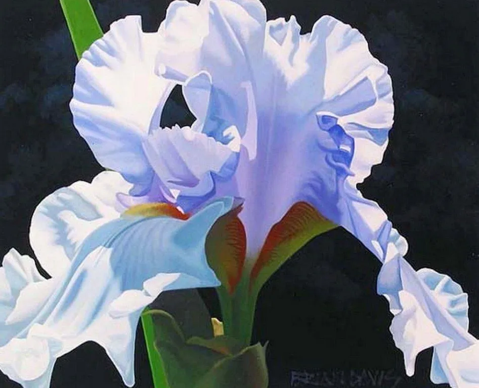 Pintura Moderna al Óleo: Cuadros con flores orquídeas