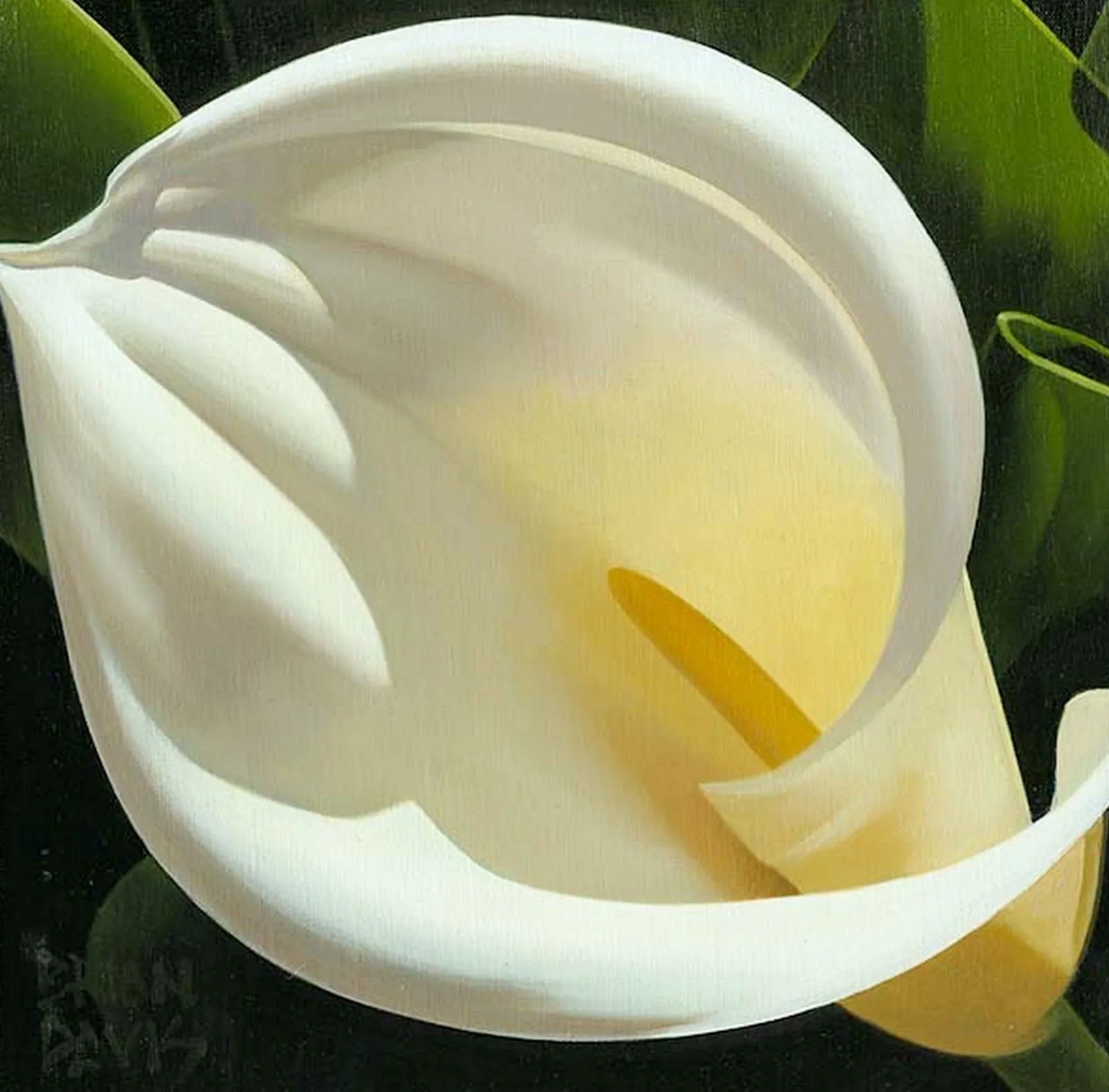 Pintura Moderna al Óleo: Flores, Pinturas Hermosas y Naturales al Óleo