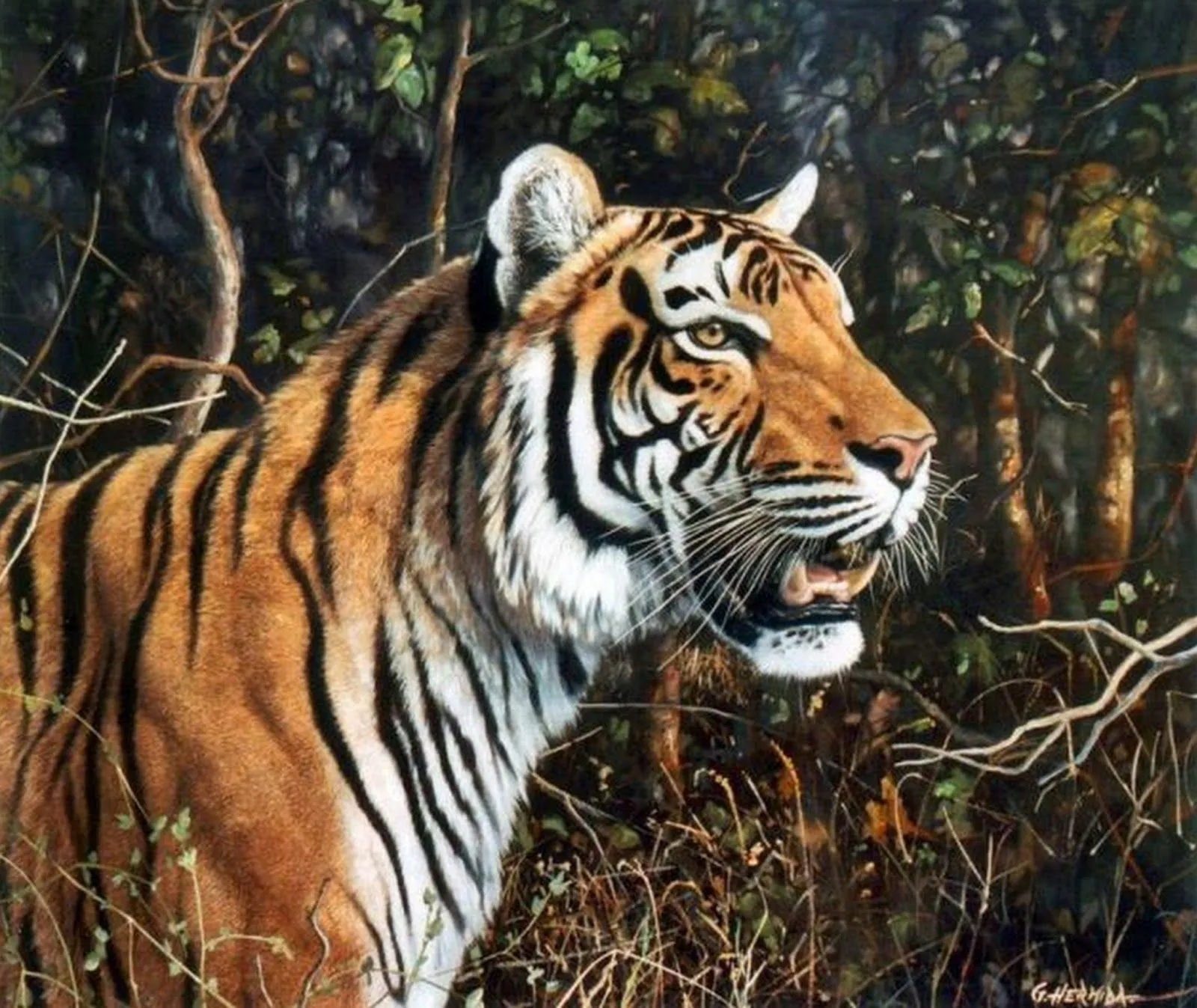 Pintura Moderna al Óleo: Galería: Pinturas de Tigres