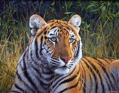 Pintura Moderna al Óleo: Galería: Pinturas de Tigres