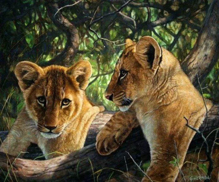 Pintura Moderna al Óleo: Leones pintados en óleo sobre lienzo