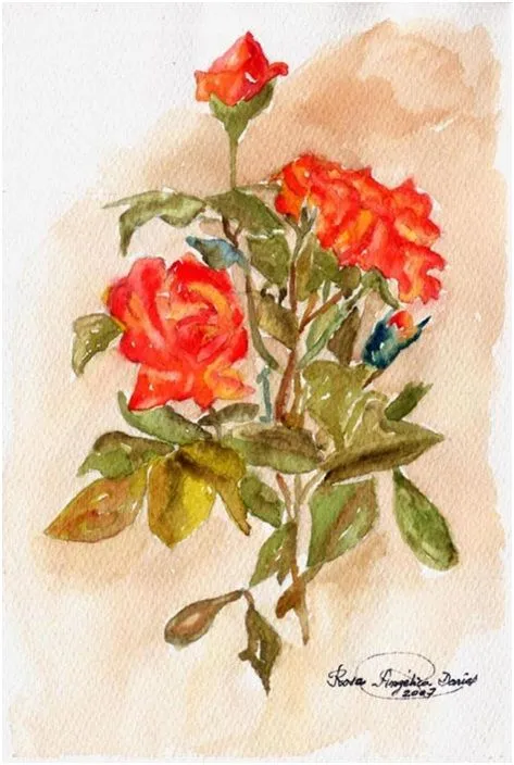 Pintura de Un Ramo de Rosa « Dibujos De Rosas