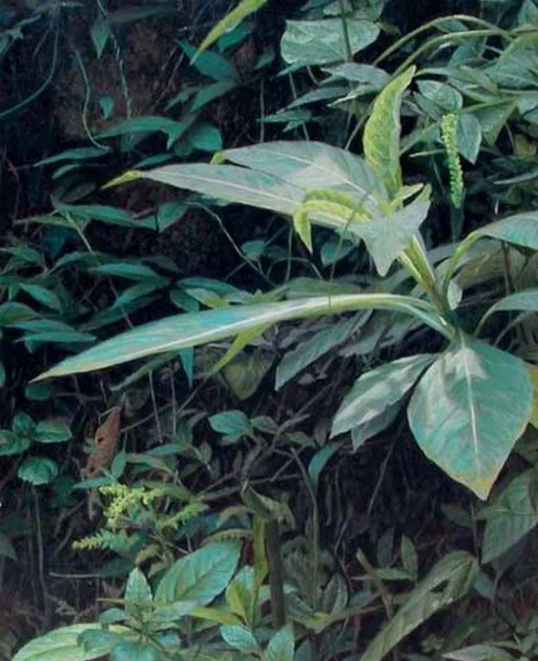 Pinturas Cuadros: Cuadros con Plantas