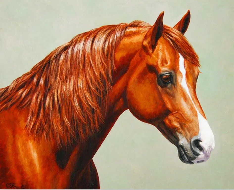 Pinturas Cuadros al Óleo: Caballos, Pinturas Realistas Óleo, Obras ...