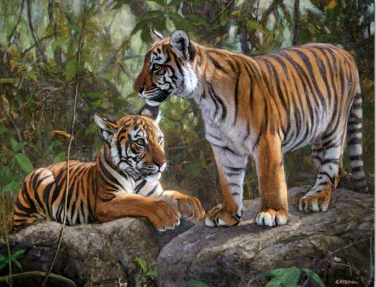 Pinturas Cuadros al Óleo: Cuadros bonitos con tigres