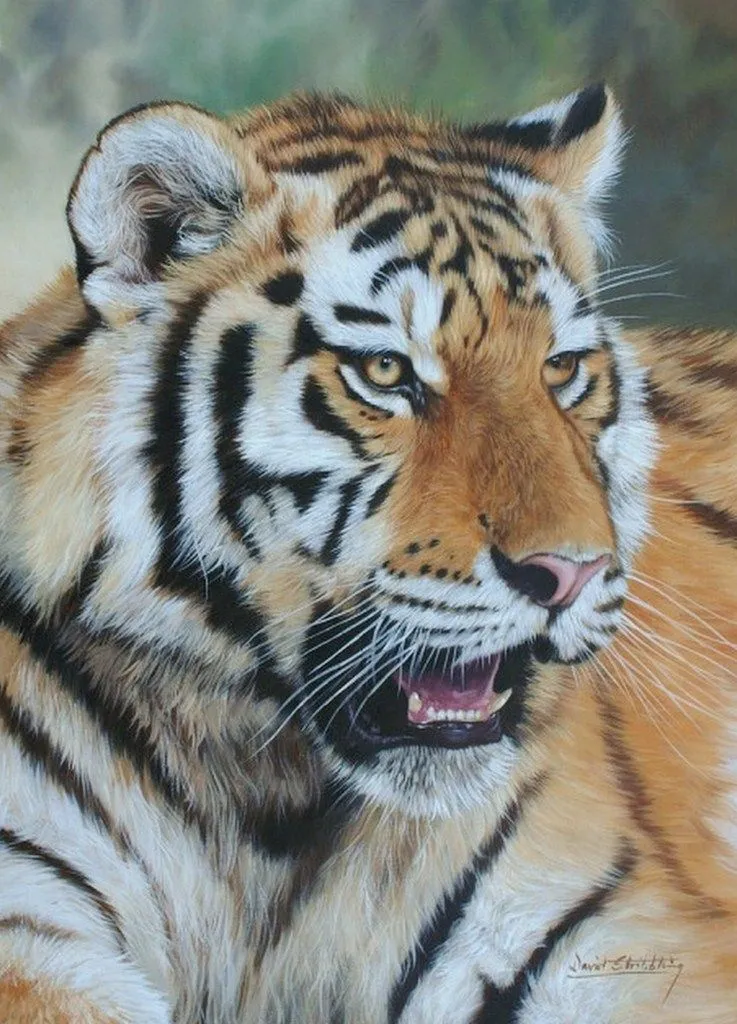 Pinturas Cuadros al Óleo: Galería: Cuadros animales al Óleo