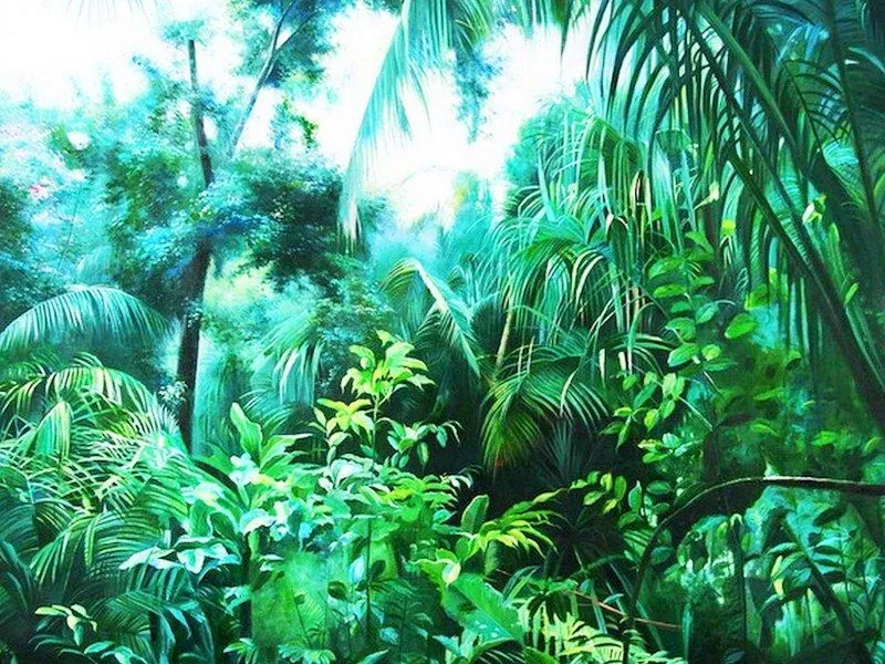 Pinturas Cuadros al Óleo: Paisajes de la selva