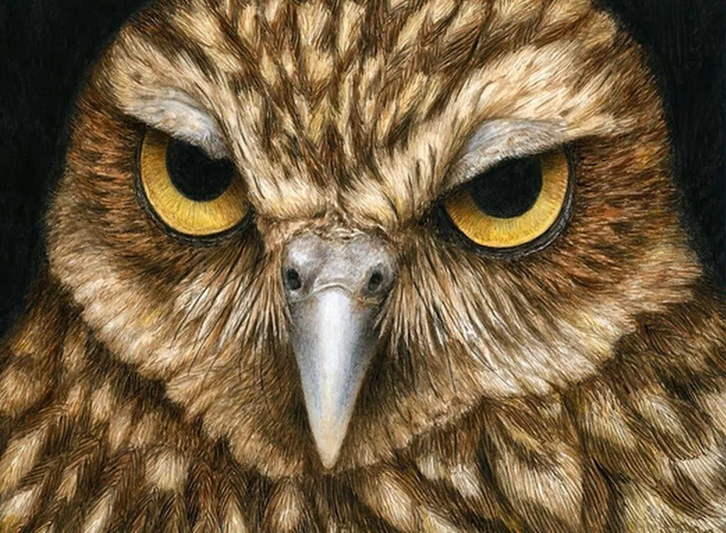 Pinturas Cuadros al Óleo: Pinturas Realistas, Animales con ...