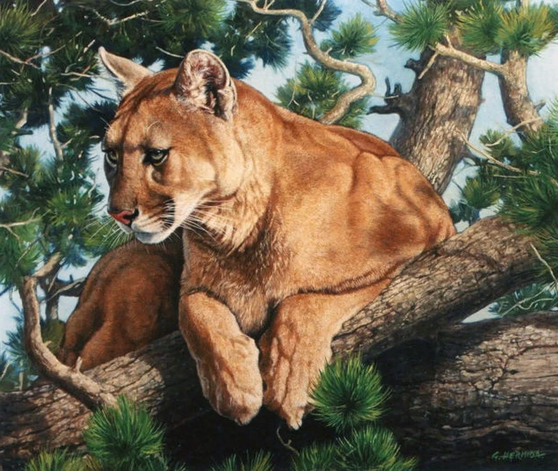 Pinturas Cuadros al Óleo: Pinturas de leones y gatos