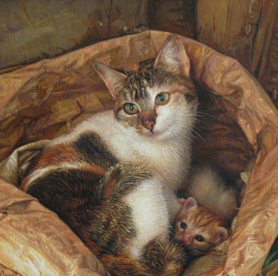 Pinturas de gatos al oleo - Imagui