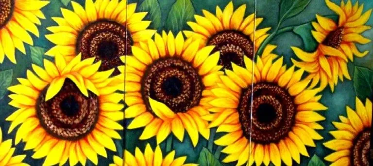 Pinturas de girasoles - Imagui