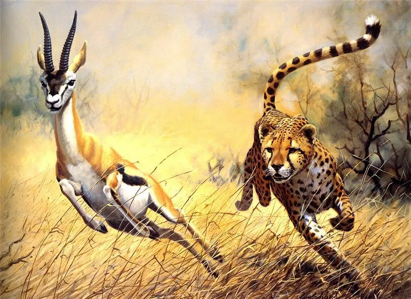 Pinturas que me gustan: tigres ,panteras y animales salvajes