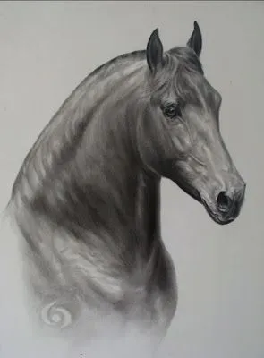 Pinturas al Óleo: Cuadros de caballos en carboncillo