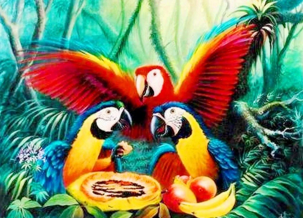 Pinturas de Pajaros Exoticos | El club del arte, pinturas