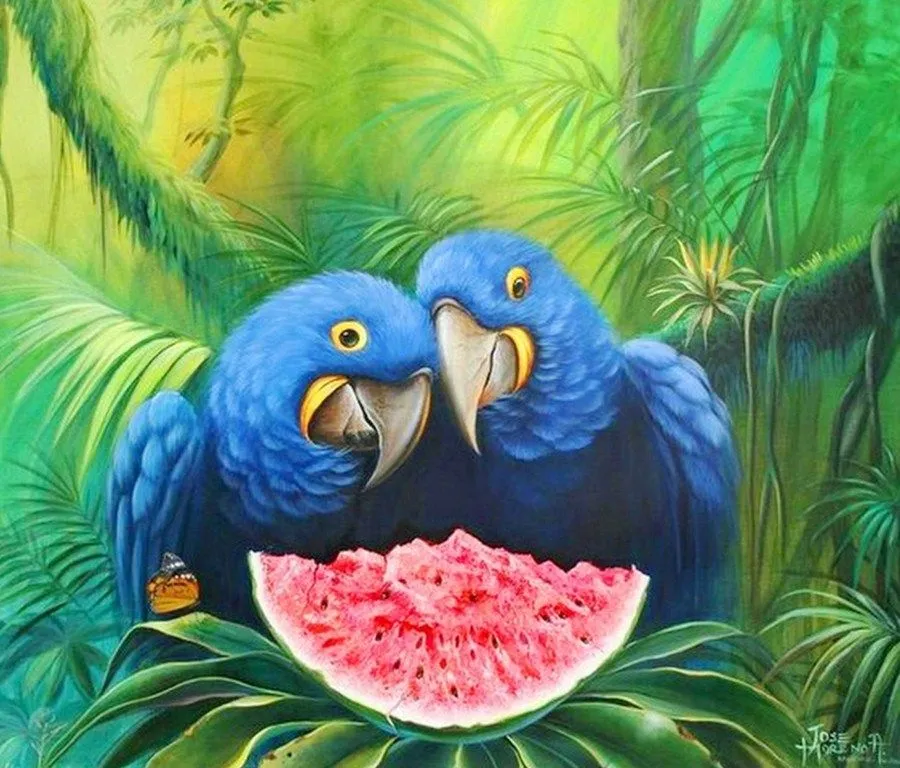 Pinturas de Pajaros Exoticos | Pinturas al Óleo