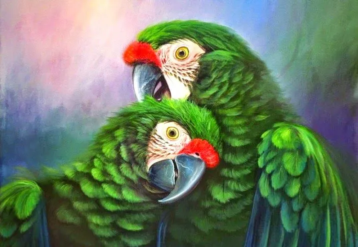 Pinturas Temáticas : Imágenes Cuadros Modernos de Aves