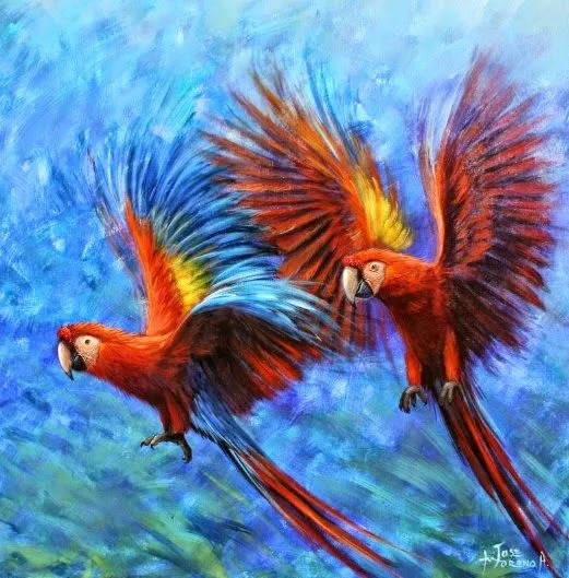 Pinturas Temáticas : Imágenes Cuadros Modernos de Aves