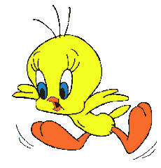 piolin volando