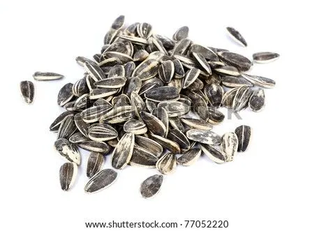 Pipas De Girasol Apiladas Stock Photo 77052220 : Shutterstock