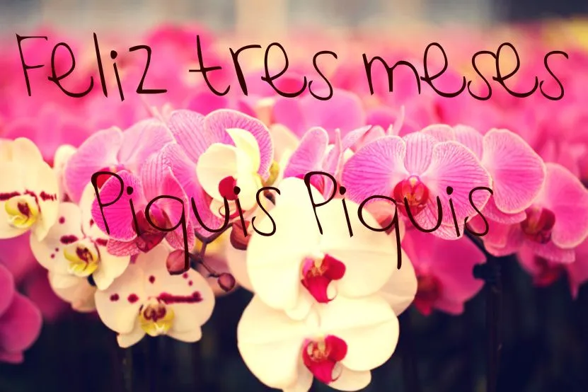 Piquis Piquis : Ayer cumplimos tres meses!!! Lo celebraremos toda ...