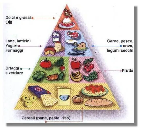 Piramide Alimentare | Catanzaroscherma's Blog