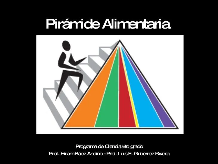 Piramide alimenticia