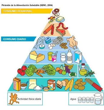 piramide alimenticia