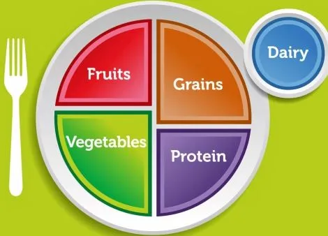 No mas pirámide alimenticia | SHEDSENN