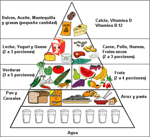 Pirámide alimenticia vacia - Imagui