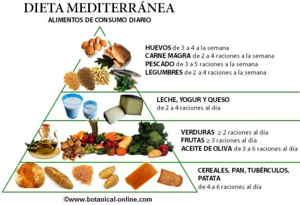 Pirámide de alimentos de la dieta mediterránea