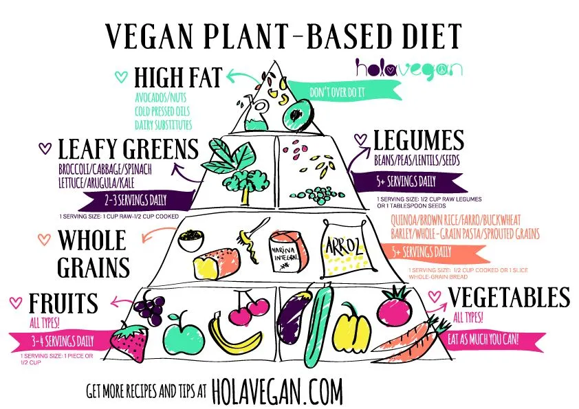 Piramide Nutricional Vegana - Alimentos que debemos consumir