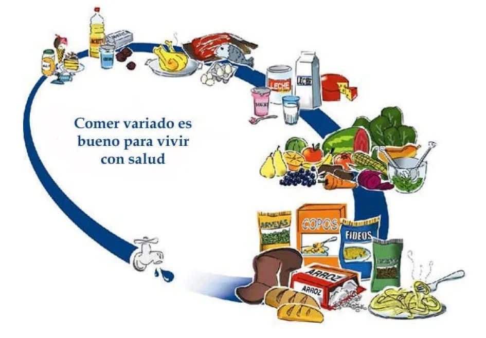 Piramides y Ovalo Nutricional, y la nutricion - Taringa!