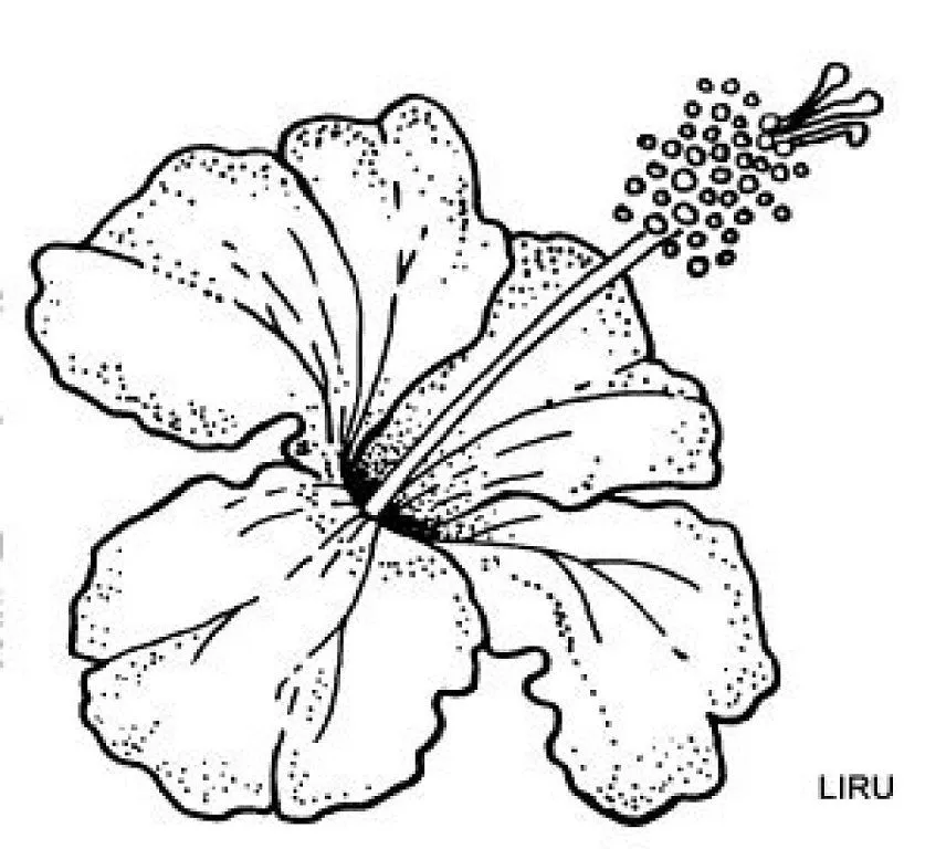 pirograbado (4) | Aprender manualidades es facilisimo.