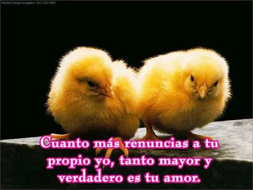 Piropos de Amor y Frases | CityPostales