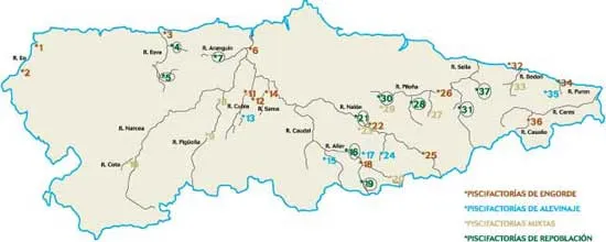 La piscicultura en Asturias. Servicio Regional de Investigación y ...