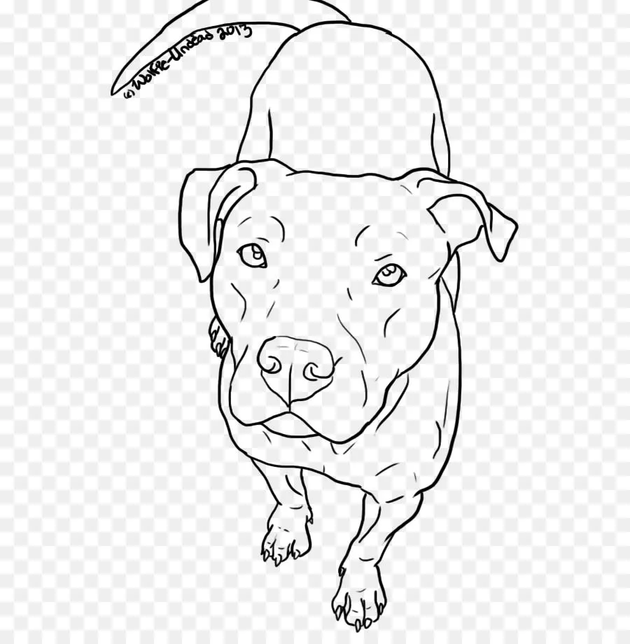 Pit Bull, American Pit Bull Terrier, Dibujo imagen png ...