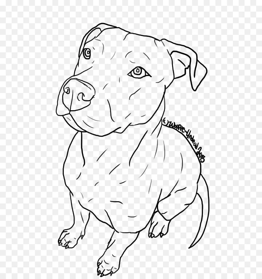 Pit Bull, American Pit Bull Terrier, Cachorro imagen png ...