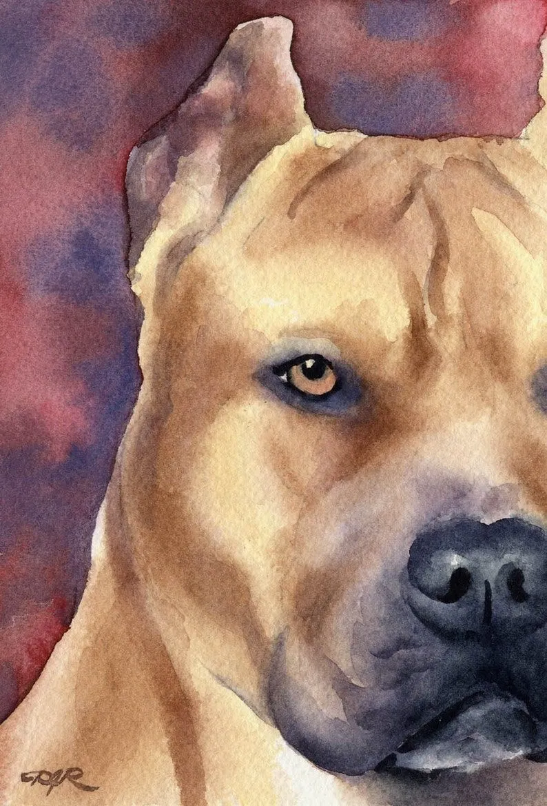 PIT BULL Terrier Art Print by Artist DJ Rogers