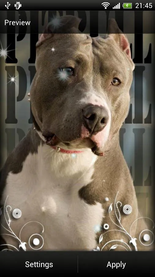 Pitbull Dog Live Wallpaper - Android Apps on Google Play