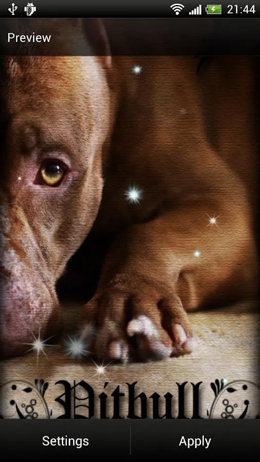 Pitbull Perro Fondo Animado - Aplicaciones Android en Google Play