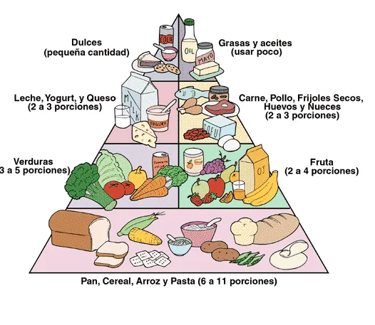 LOS PITUFOS DE SANTAELLA: Piramide alimenticia