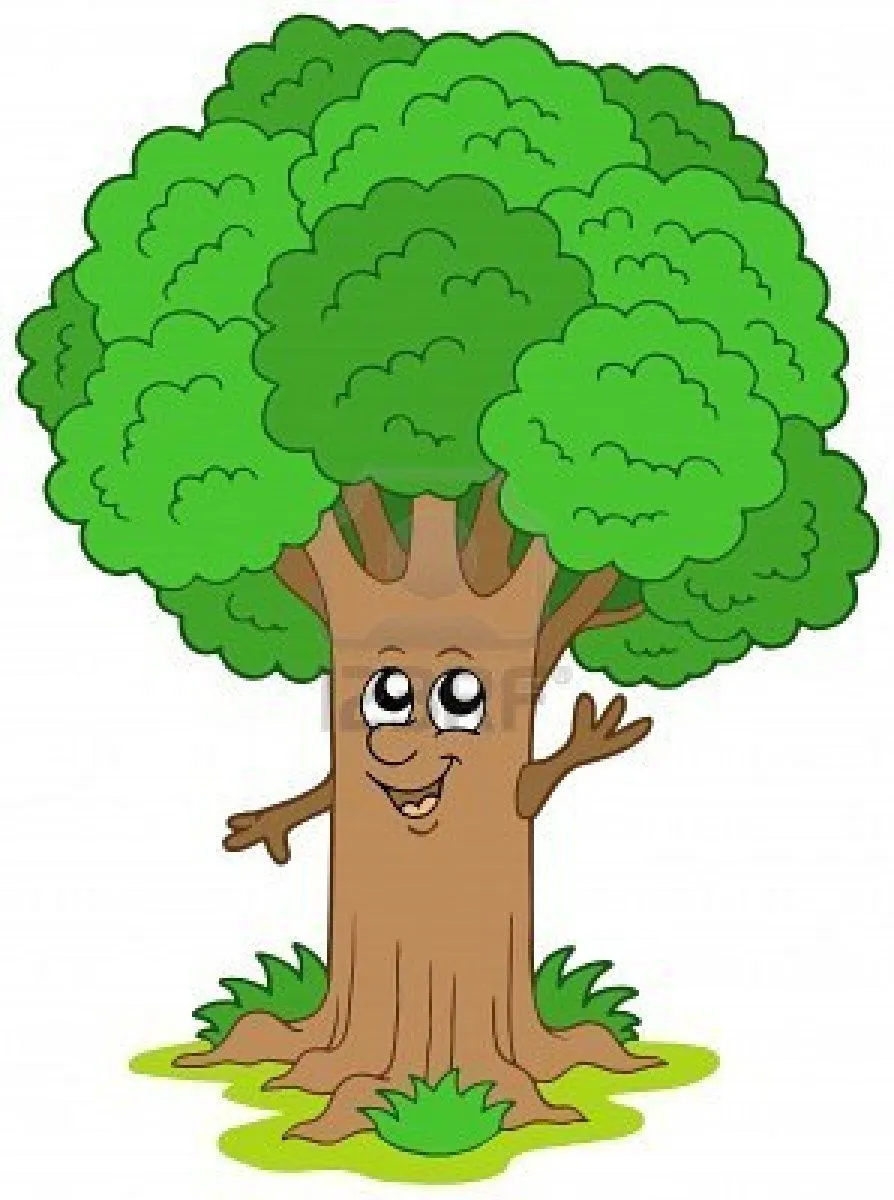 Arbol dibujo animado - Imagui